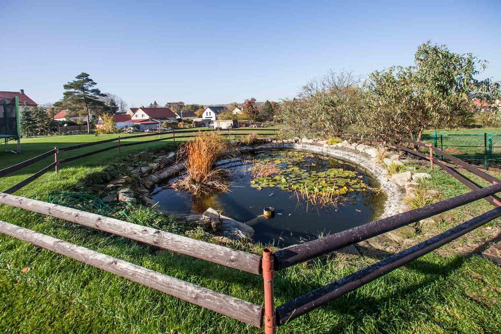 Agropenzion U Bartousku Malíkovice エクステリア 写真