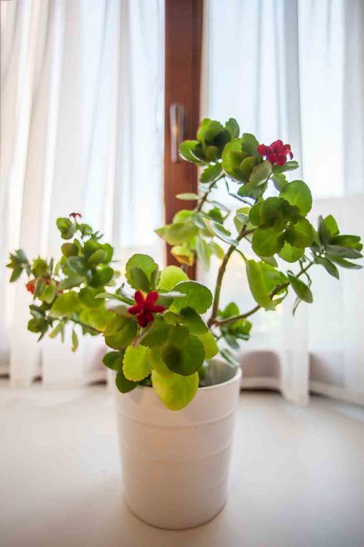 Agropenzion U Bartousku Malíkovice エクステリア 写真